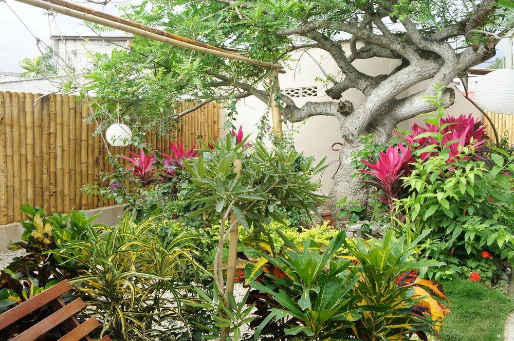 Rincón d'Olón Boutique Hotel Extérieur photo